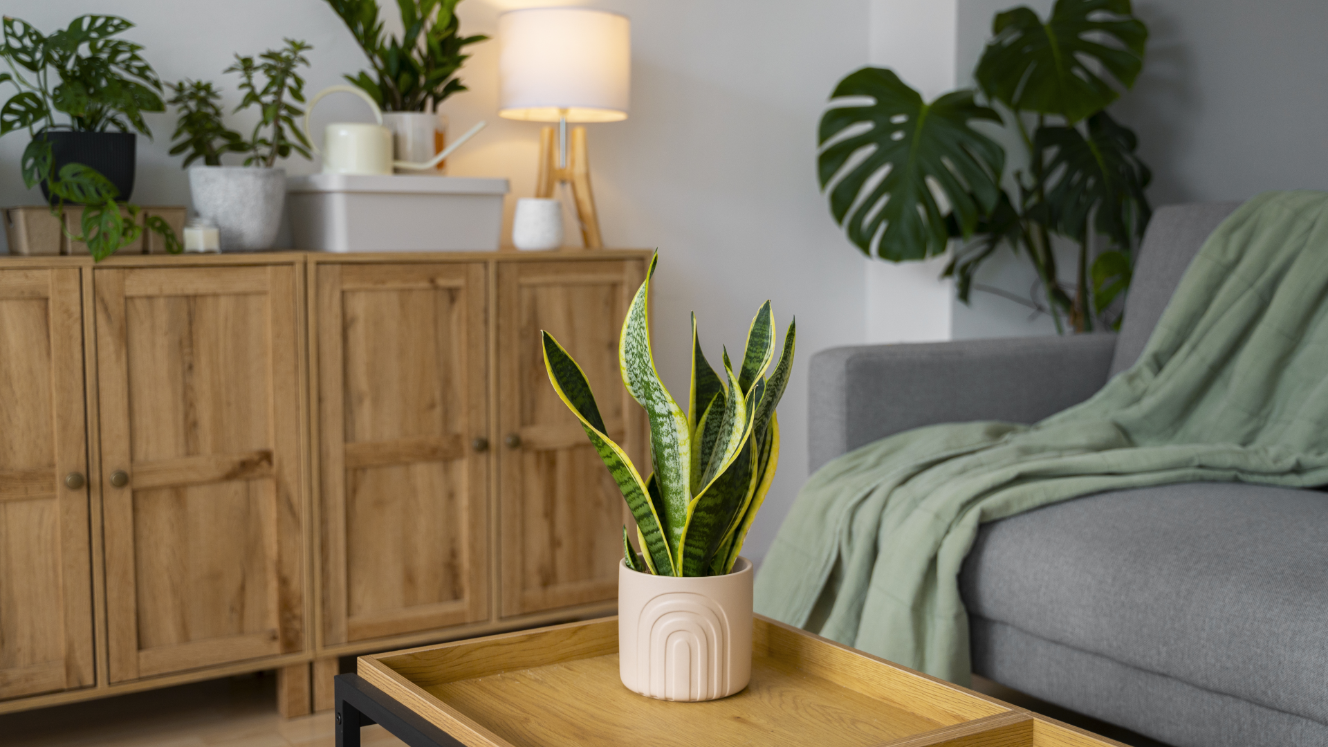 Home Decor